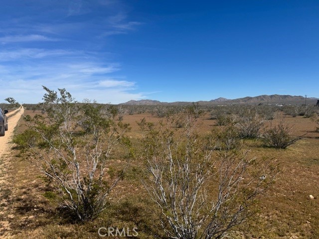 20713 Fairfield Property Photo 3