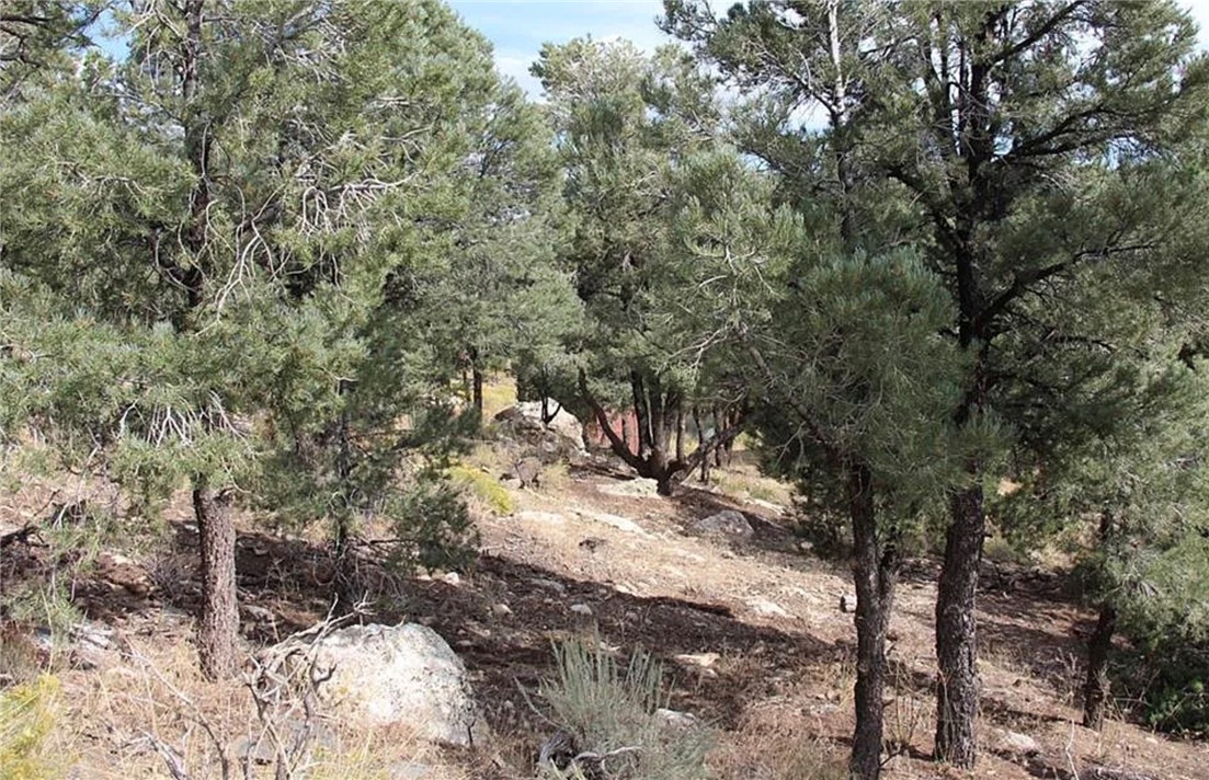 0 Lakeview Drive Property Photo 12