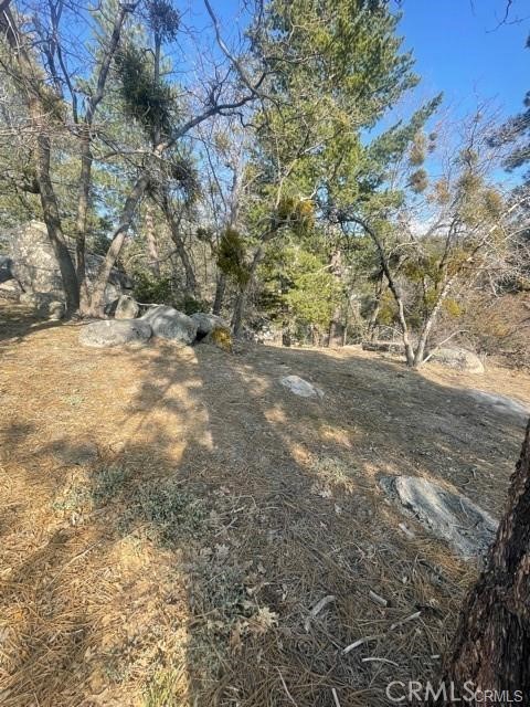 0 Forrest Dr Property Photo 1