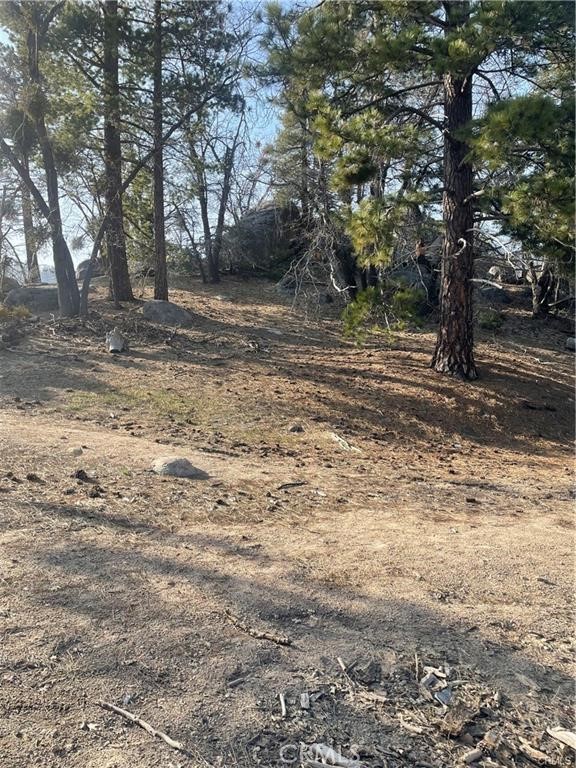 0 Forrest Dr Property Photo 2