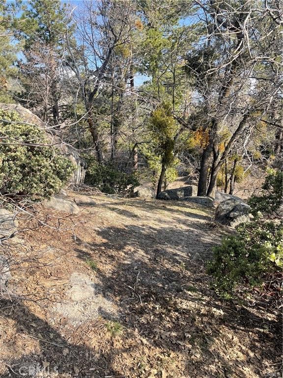 0 Forrest Dr Property Photo 6