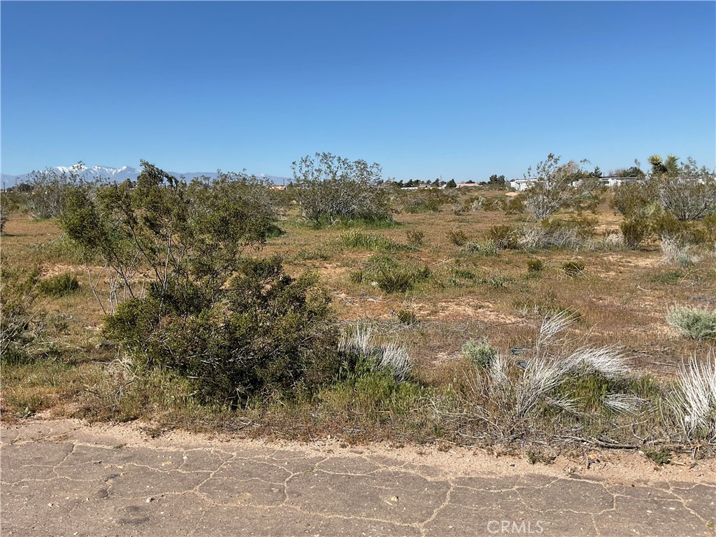 22111 Hesperia Rd Property Photo 5