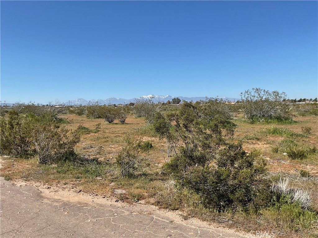 22111 Hesperia Rd Property Photo 9