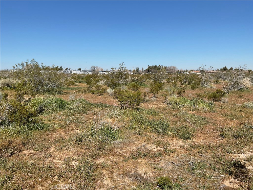 22111 Hesperia Rd Property Photo 11