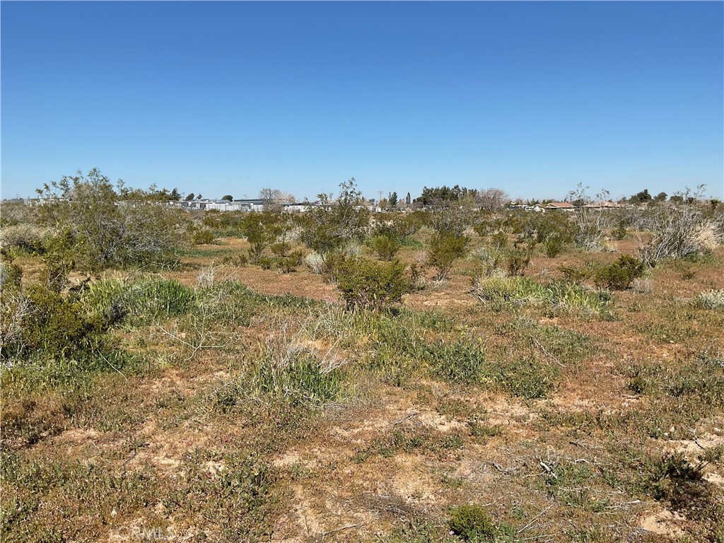 22153 Hesperia Road Property Photo 6