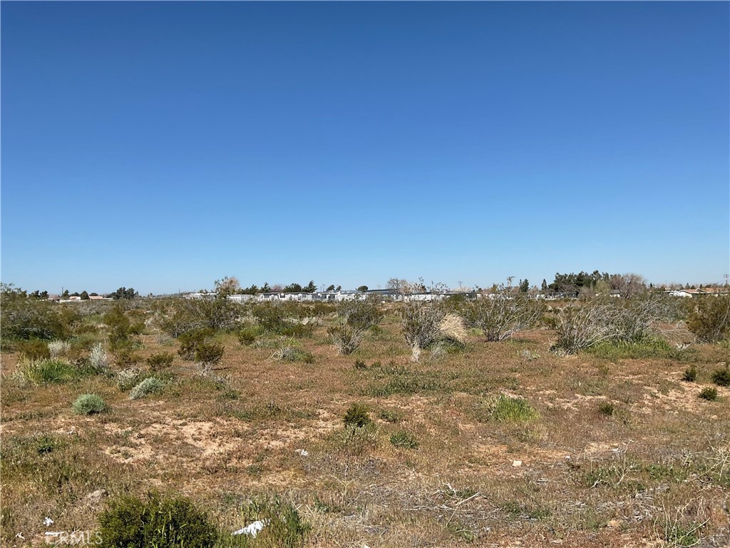 22153 Hesperia Road Property Photo 7
