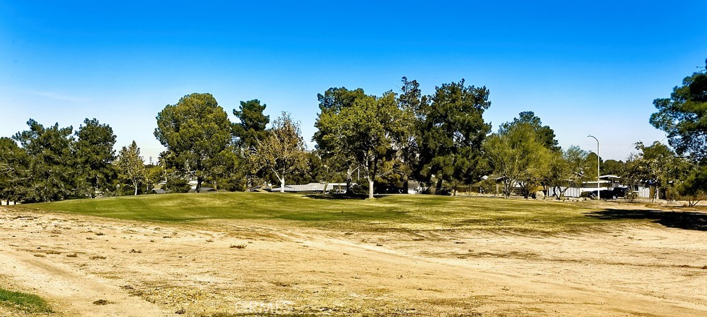 14035 Wimbleton Drive Property Photo 28