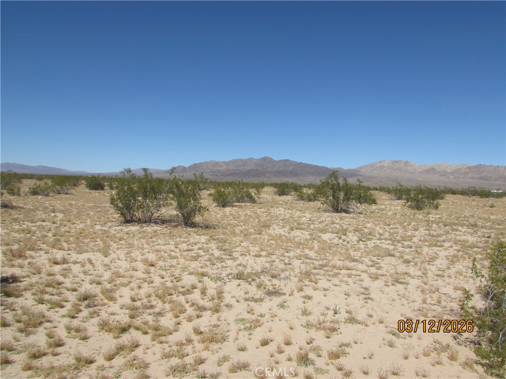 42 Amboy Property Photo 6