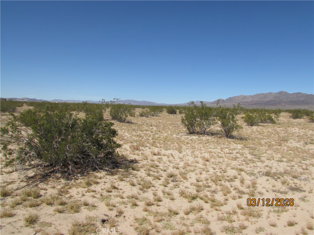 42 Amboy Property Photo 7