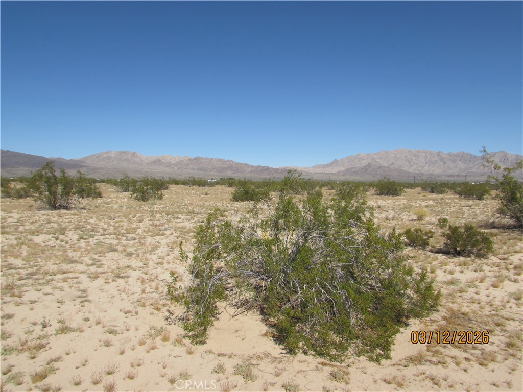 42 Amboy Property Photo 8