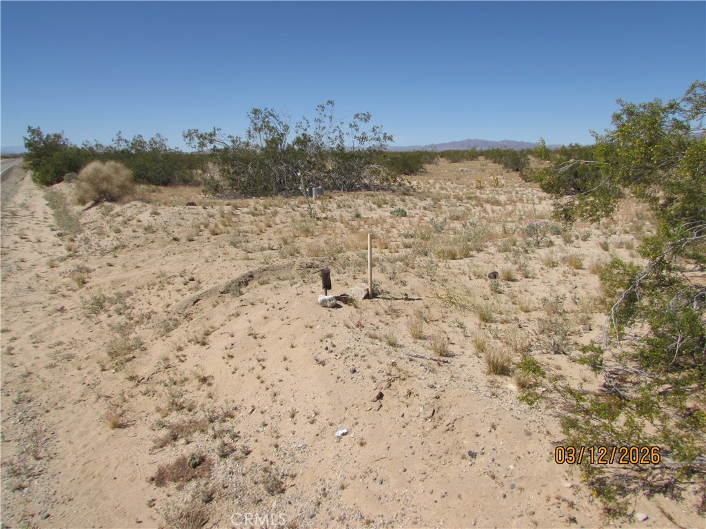 42 Amboy Property Photo 9