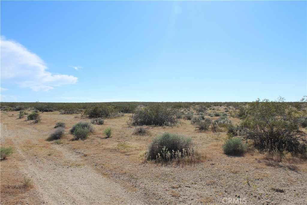 0 Off Helendale Rd Property Photo 9
