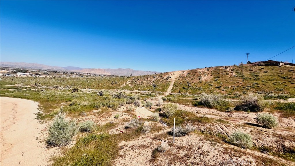 10111 Cerra Vista Street Property Photo 6