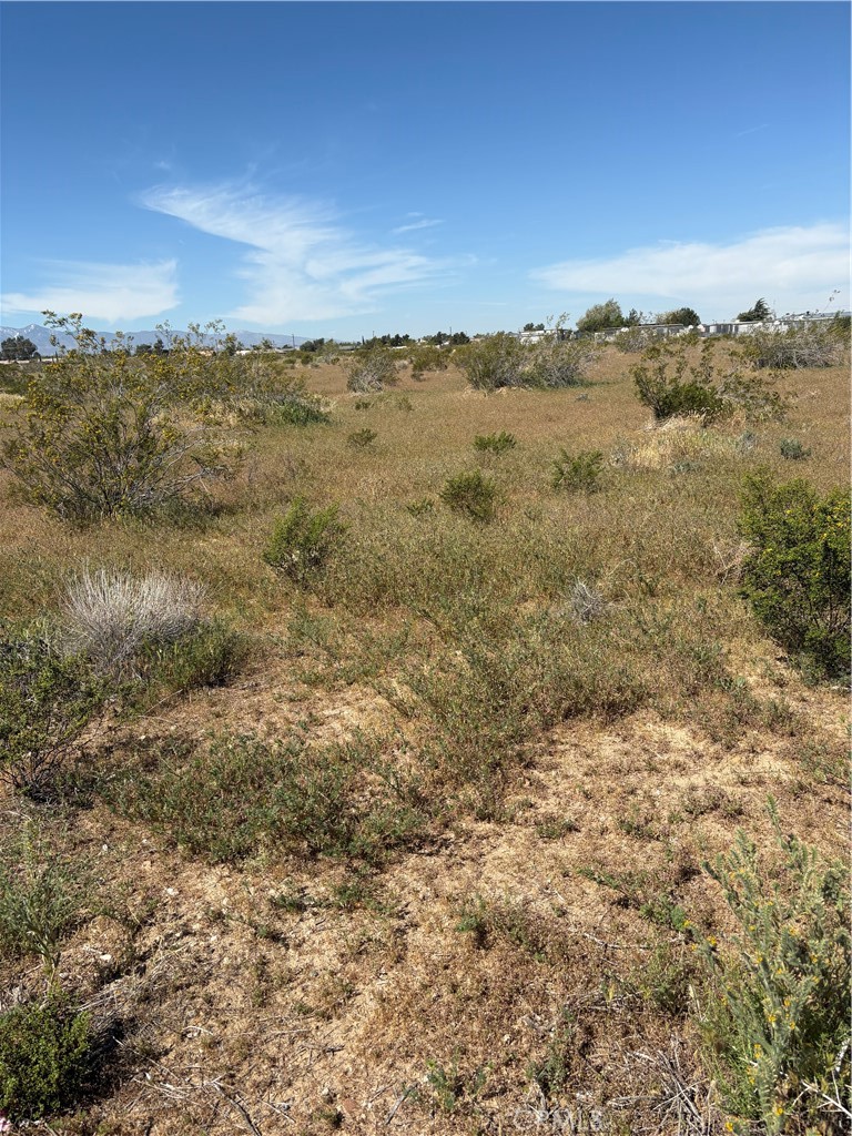0 Hesperia Road Property Photo 1