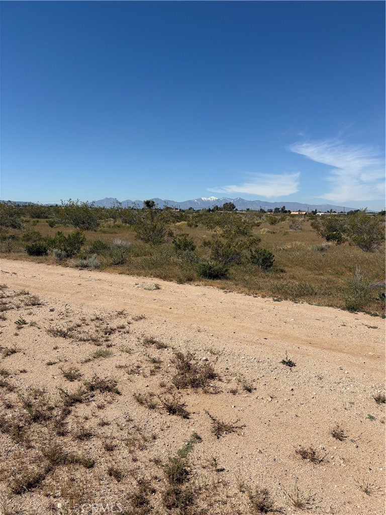 0 Hesperia Road Property Photo 2