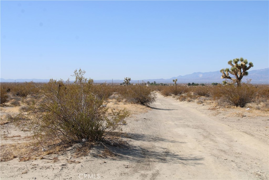 18 Ac Lessing Avenue Property Photo 7