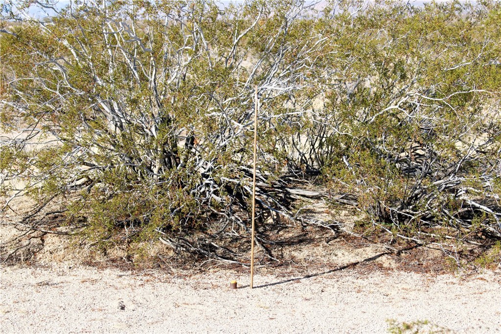 61308104 Dorth Place Property Photo 14