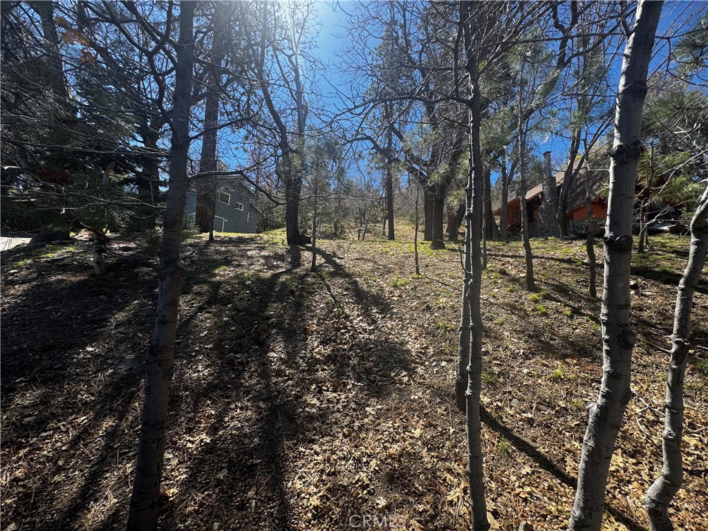 0 Oriole Road Property Photo 2