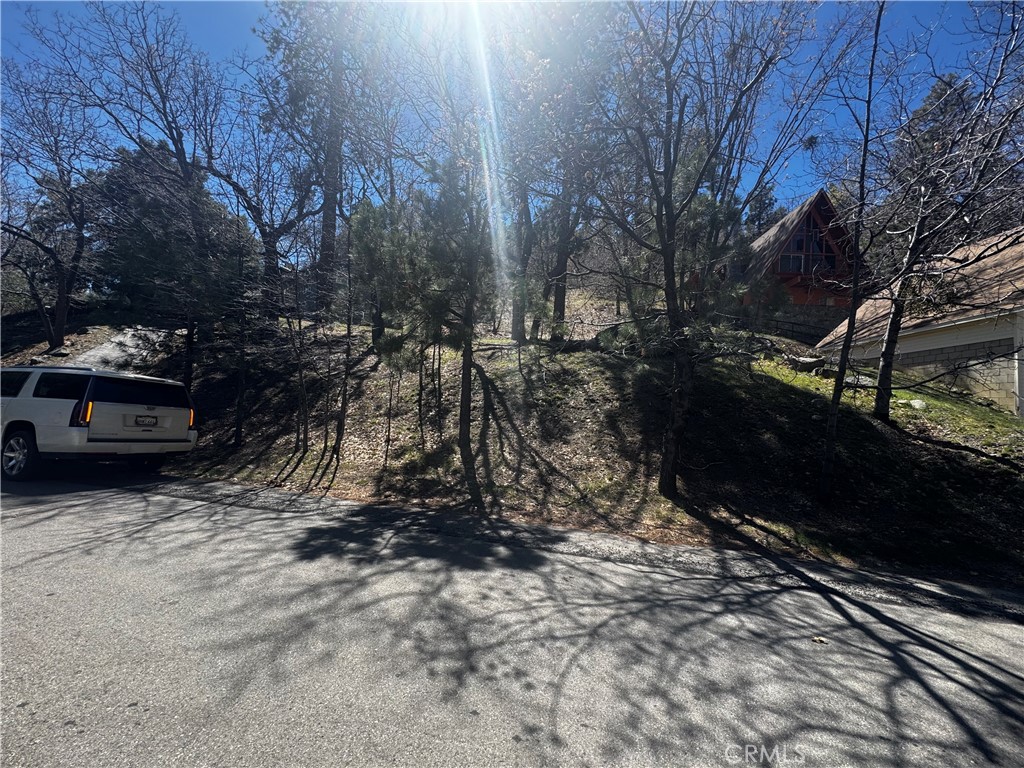 0 Oriole Road Property Photo 3