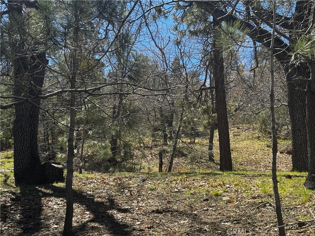 0 Oriole Road Property Photo 4