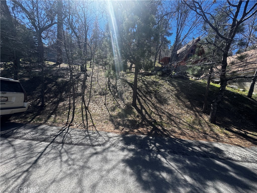 0 Oriole Road Property Photo 5