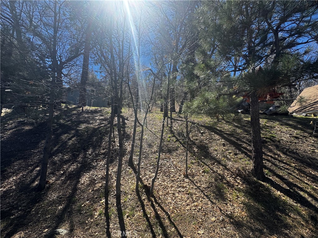 0 Oriole Road Property Photo 6