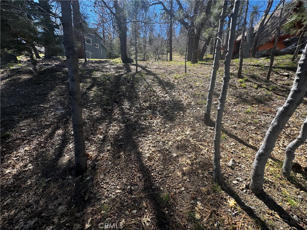 0 Oriole Road Property Photo 7