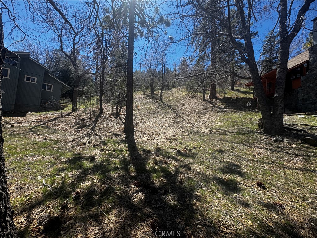 0 Oriole Road Property Photo 8