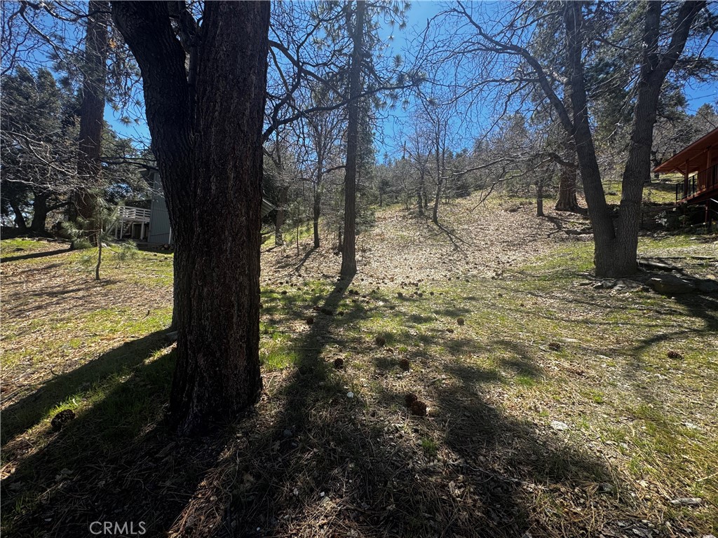 0 Oriole Road Property Photo 9