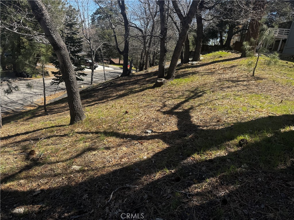 0 Oriole Road Property Photo 10