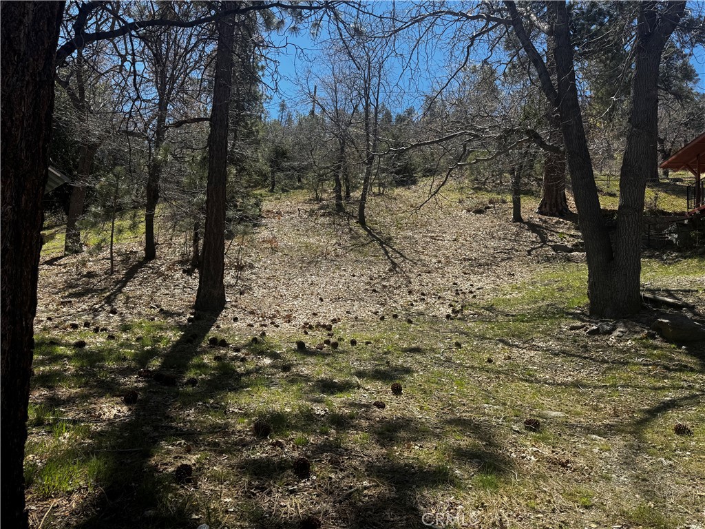 0 Oriole Road Property Photo 11