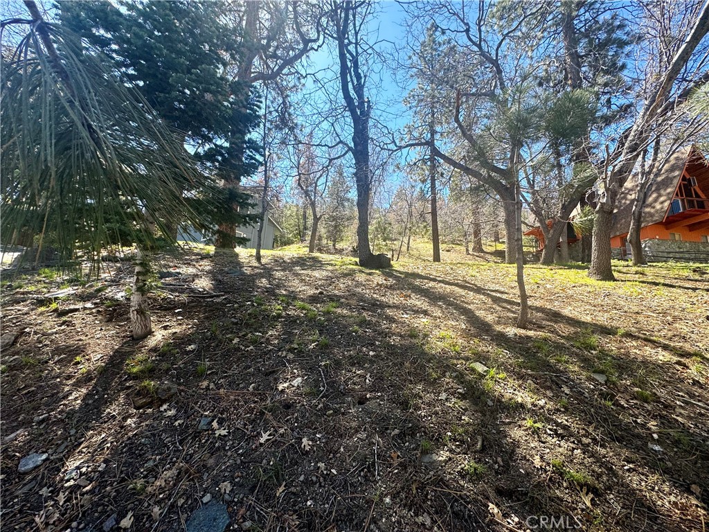 0 Oriole Road Property Photo 12