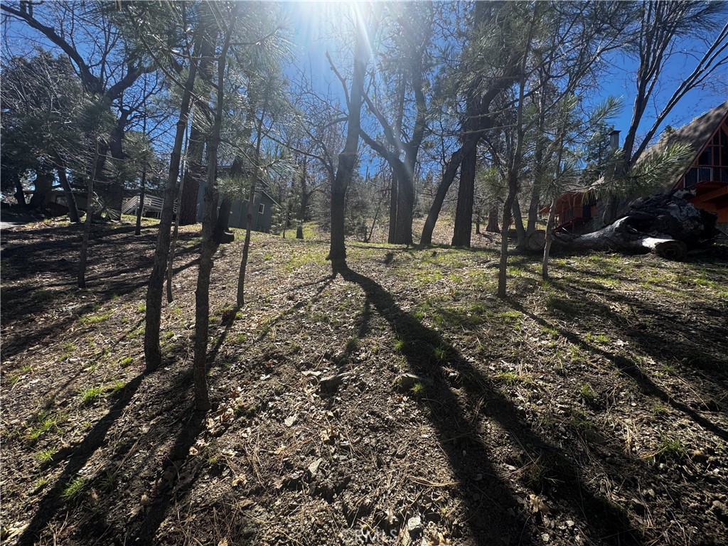 0 Oriole Road Property Photo 13
