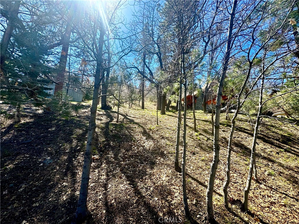 0 Oriole Road Property Photo 14