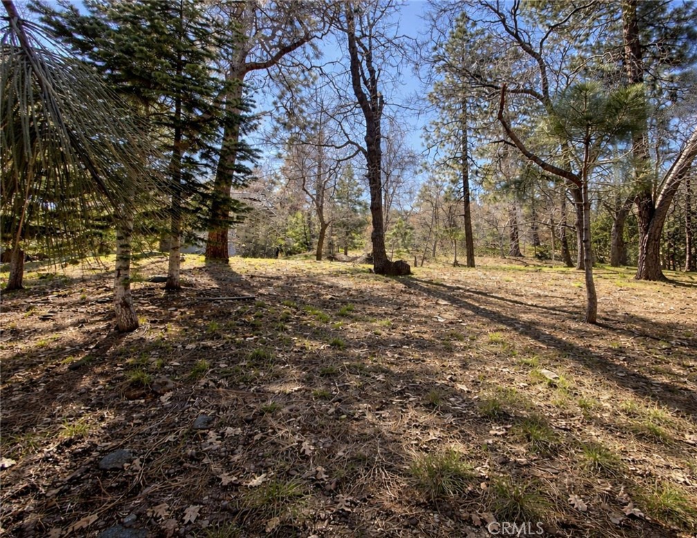 0 Oriole Road Property Photo 15