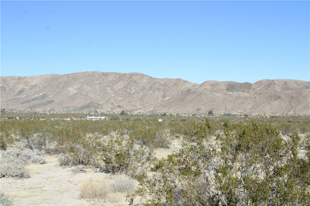61308105 Dorth Place Property Photo 10