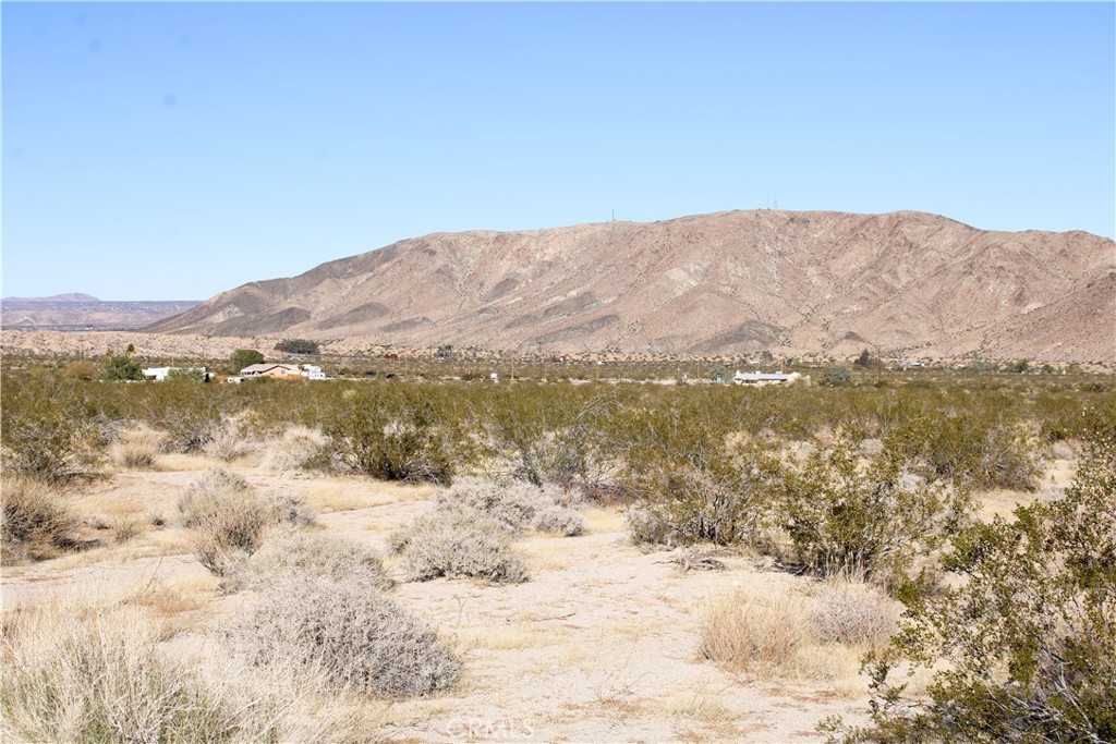 61308105 Dorth Place Property Photo 11
