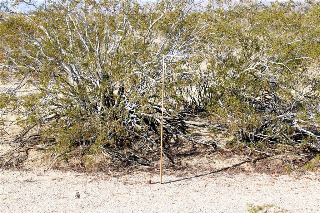 61308105 Dorth Place Property Photo 13