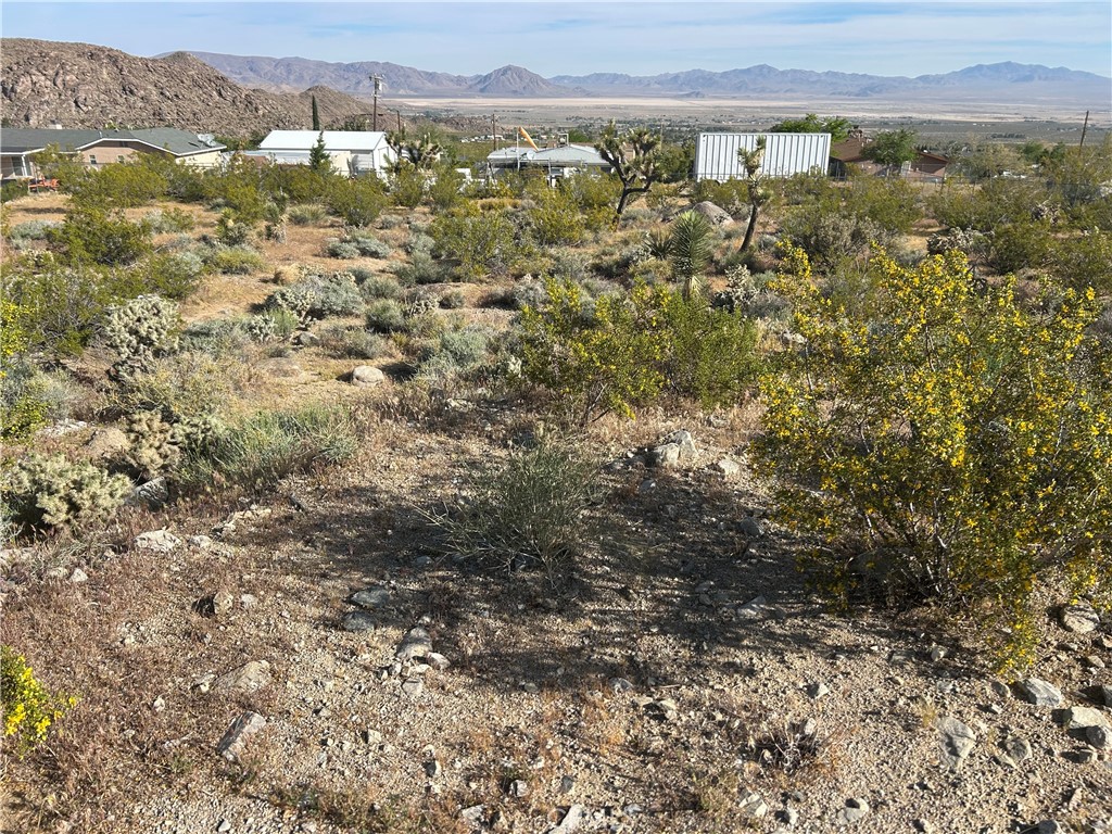 32410 Sapphire Property Photo 2