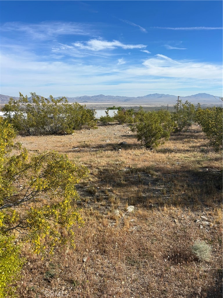 32410 Sapphire Property Photo 3