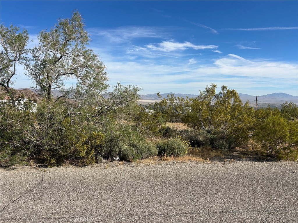 32410 Sapphire Property Photo 4