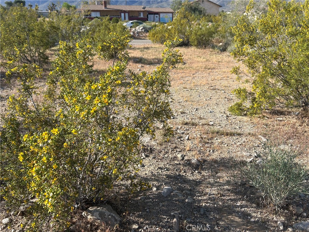 32410 Sapphire Property Photo 7