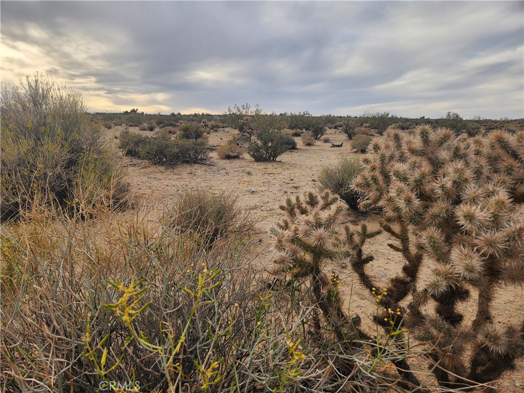 4147 Sunburst Street Property Photo 10
