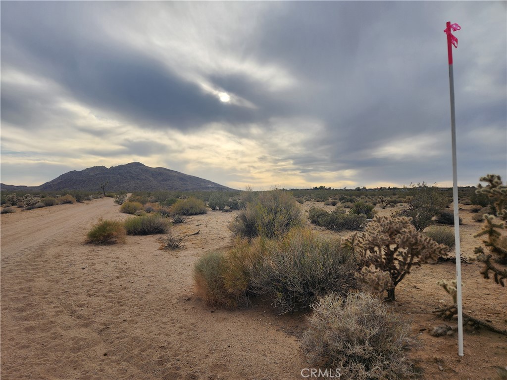 4147 Sunburst Street Property Photo 11