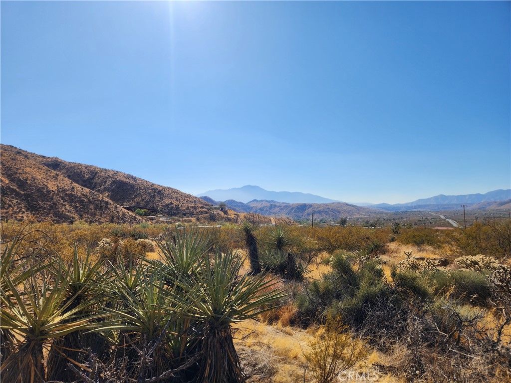 29 Palms Highway Property Photo 8