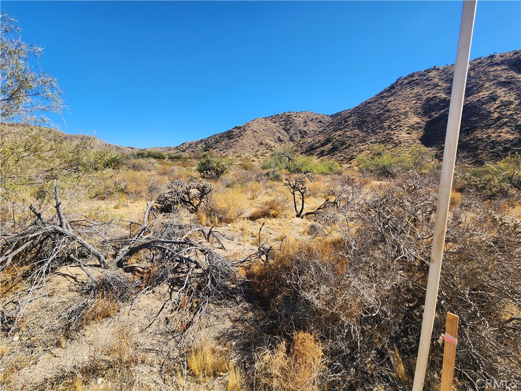 29 Palms Highway Property Photo 9