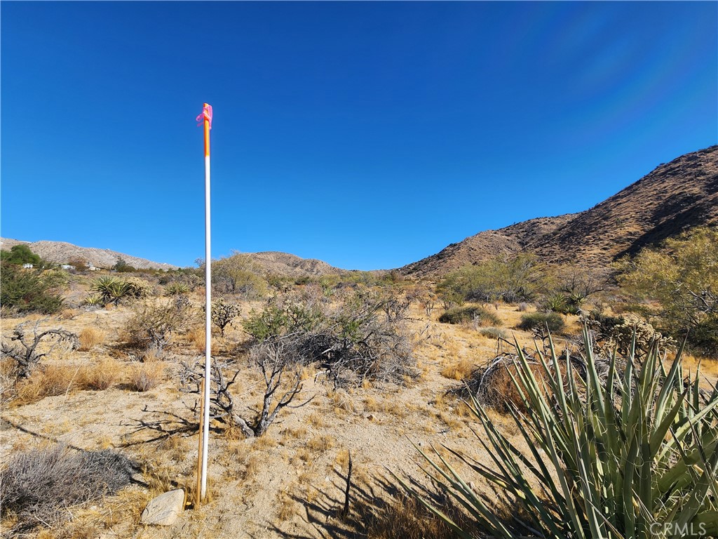 29 Palms Highway Property Photo 10