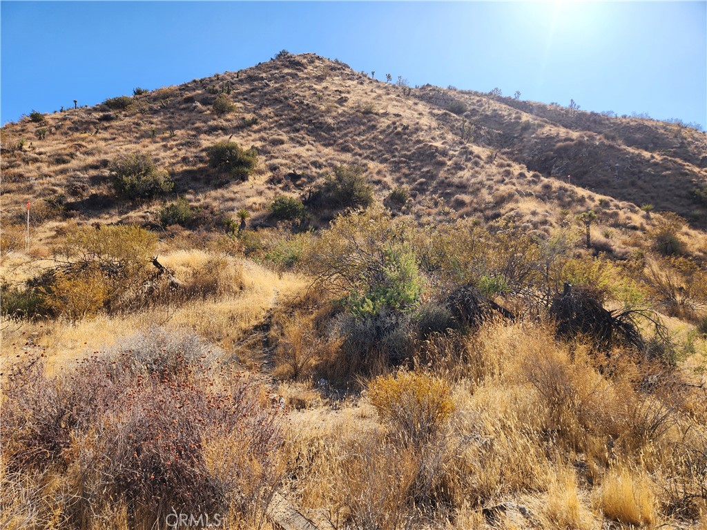 29 Palms Highway Property Photo 12