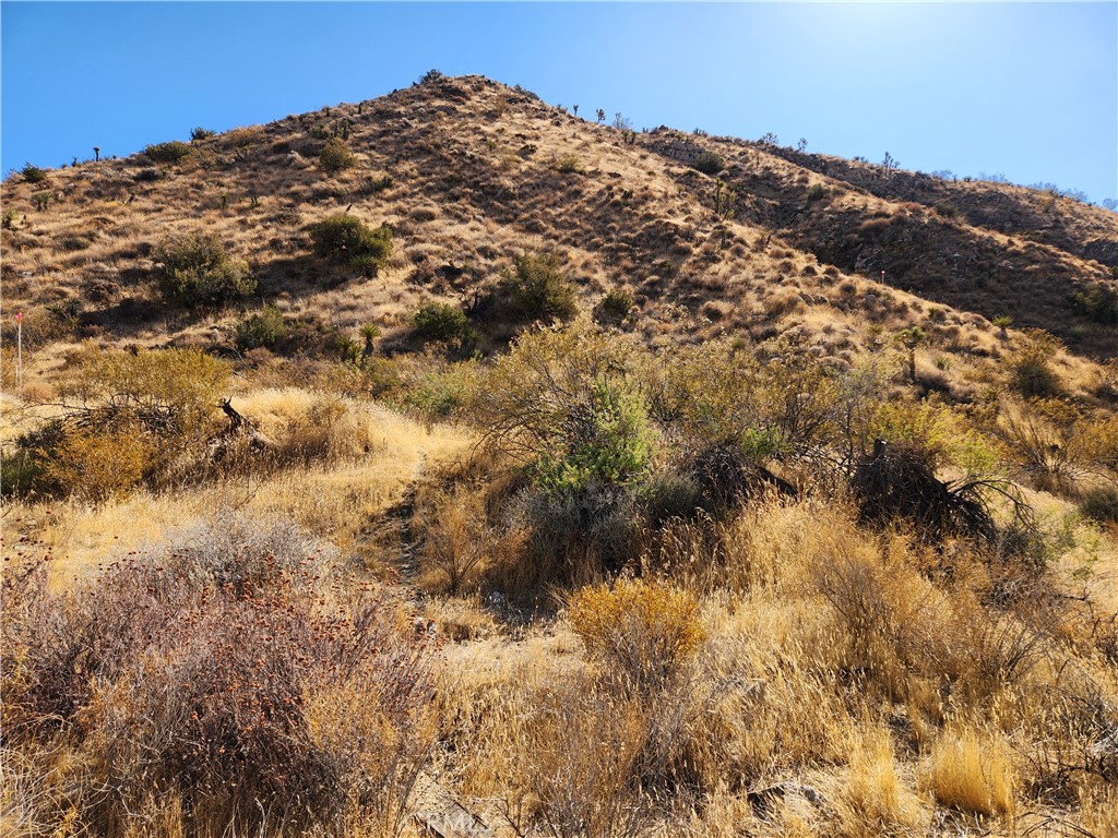 29 Palms Highway Property Photo 13