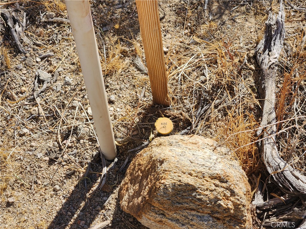 29 Palms Highway Property Photo 16